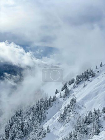 Téléchargez les photos : Remains of snowfall clouds rolling across freshly snow-covered mountainside. Breath-taking view of alpine landscape covered with white blanket of snow. Changing winter weather conditions in mountains. - en image libre de droit