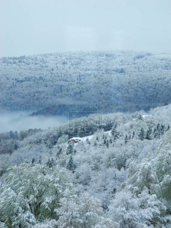 Photo for Idyllic view of hilly landscape covered with snow blanket after winter snowfall. Winter fairy tale with snowy forest in the countryside after first snowfall. Cold season roaming around the country. - Royalty Free Image