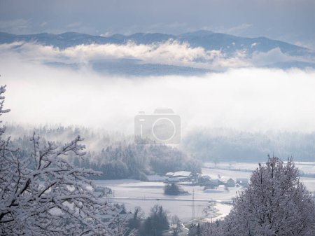 Téléchargez les photos : Misty clouds rolling over forest and hilly countryside after freshly fallen snow. Incredible hilltop view of beautiful rural landscape with snow-covered woodland and village after winter snowstorm. - en image libre de droit