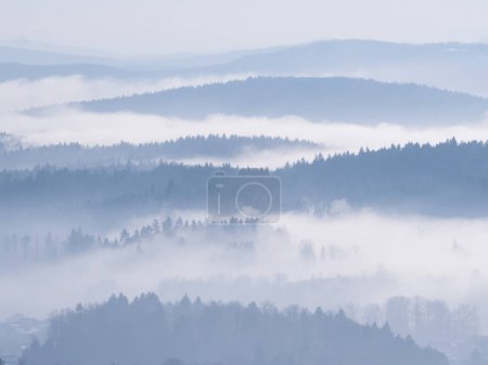 Téléchargez les photos : Winter fog rolling among forested hills creating beautifully layered landscape. Stunning winter view of hilly countryside. Silhouettes of forest trees peeking through layers of mist in wintertime. - en image libre de droit