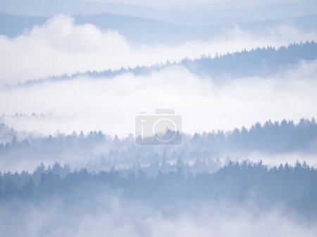 Téléchargez les photos : Stunning views of multi-layered forested hilly landscape created by winter mist. Silhouettes of forest treetops peeking through layers of mist in wintertime. Majestic winter view at the countryside. - en image libre de droit