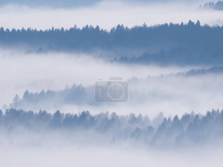 Téléchargez les photos : Winter mist creates stunning views of multi-layered forested hilly landscape. Silhouettes of forest treetops peeking through layers of mist in wintertime. Majestic winter view at the countryside. - en image libre de droit