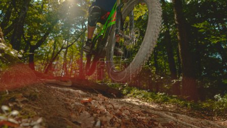 Foto de LOW ANGLE, CLOSE UP, SUN FLARE: Bright summer sunbeams shine on the adrenaline seeking mountain biker as he jumps in air while riding through the forest. Unrecognizable man mountain biking in woods. - Imagen libre de derechos