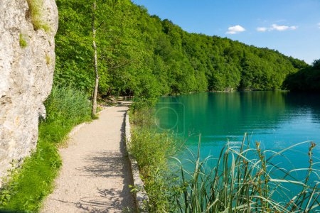 Foto de Vaciado camino de grava corre a lo largo de un hermoso lago de esmeralda en Plitvice, Croacia en el hermoso día de verano soleado. pandemia mundial de coronavirus cierra el impresionante parque nacional de Plitvice para los turistas. - Imagen libre de derechos