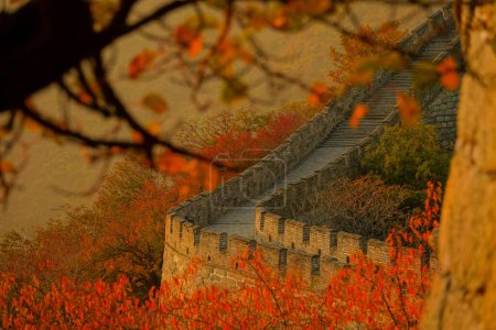 Foto de CERRAR, DOF: Impresionante bosque de color otoño rodea la Gran Muralla dorada de China. Impresionante vista de la Gran Muralla en una tranquila noche de otoño. Antigua muralla de piedra que cruza las montañas. - Imagen libre de derechos