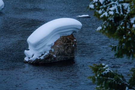 Téléchargez les photos : FERMER, DOF : Une grande roche au milieu d'un ruisseau bleu profond est recouverte de neige fraîche. Vue panoramique de branches de pin floues et d'une pierre recouverte de neige assise dans une rivière glacée. Eau calme du glacier. - en image libre de droit