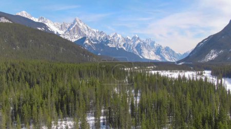 Téléchargez les photos : DRONE : Survoler des forêts d'épinettes vertes recouvrant la vallée sous une chaîne de montagnes en Alberta. Vue panoramique d'une crête enneigée au loin en survolant d'innombrables vergers de pins par une journée ensoleillée. - en image libre de droit