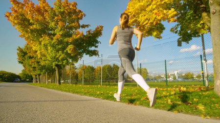 Téléchargez les photos : LOW ANGLE : Fit femme va faire un jogging autour du parc pittoresque plein d'arbres changeant leurs feuilles par une journée d'automne ensoleillée. Fille énergétique méconnaissable en jogging gris le long de la belle avenue colorée automne - en image libre de droit