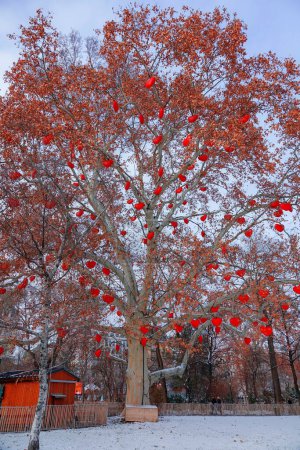 Téléchargez les photos : VERTICAL : Adorables cœurs rouges suspendus à un arbre à feuilles caduques dans un parc festif de Vienne. Plan pittoresque d'un arbre d'amour coloré dans un parc romantique dans un quartier calme d'une célèbre ville européenne. - en image libre de droit