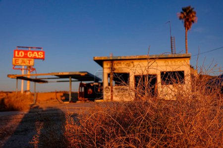 Foto de CERRAR, DOF: Detallada toma de un arbusto seco frente a una gasolinera abandonada en el desierto de Mojave al atardecer. El sol de la noche dorada ilumina la bomba de gas abandonada cubierta de grafitis. - Imagen libre de derechos