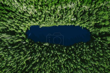 Photo for Aerial view of green wild forest and deep blue lake in summer Finland - Royalty Free Image