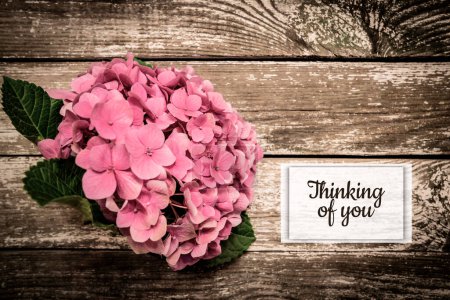 Photo for Message thinking of you with flowers - Royalty Free Image