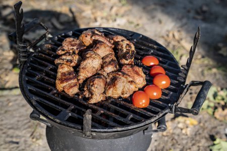 Foto de Carne a la parrilla con verduras, barbacoa en un picnic. - Imagen libre de derechos