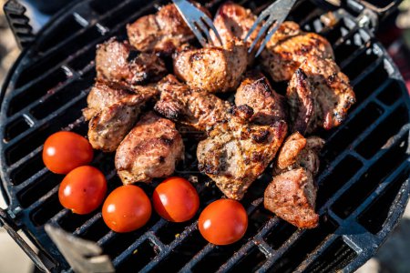 Téléchargez les photos : Viande grillée aux légumes, barbecue sur un pique-nique. - en image libre de droit