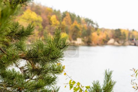 Téléchargez les photos : Beau paysage d'automne avec des arbres colorés - en image libre de droit