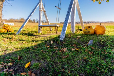 Téléchargez les photos : Balançoire en bois sur cordes, champ d'automne, citrouilles. - en image libre de droit