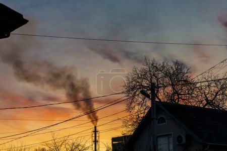 Photo for Sunset, trees without leaves, factory chimney smoke. - Royalty Free Image