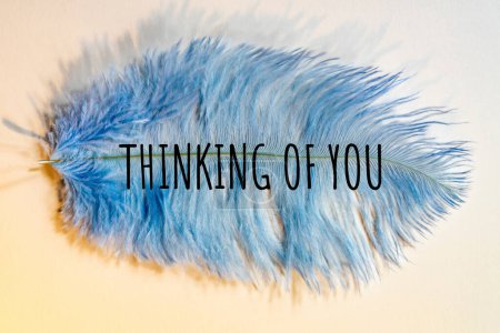 Téléchargez les photos : Je pense à toi-même. plume d'autruche bleue. - en image libre de droit