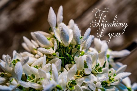 Photo for Thinking of you card. Spring card with white flowers - Royalty Free Image
