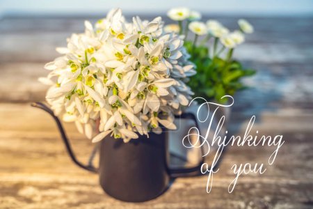 Photo for Thinking of you card. Spring card with white flowers - Royalty Free Image