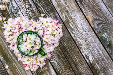 Foto de Corazón hecho de flores de primavera y taza verde sobre fondo de madera - Imagen libre de derechos