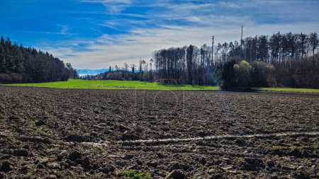 Agronomie, Frühjahrsarbeit im Feld, Vorbereitung von Ackerland für die Aussaat, Deutschland, Landwirtschaft
