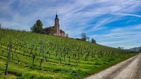 Vue de la basilique de Birnau entourée de vignes verdoyantes sur fond de ciel bleu