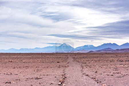 Téléchargez les photos : Beau paysage au sentier de randonnée dans le parc national Piedras Rojas au désert d'Atacama au Chili - en image libre de droit