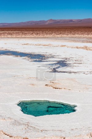 Pequeñas lagunas con agua transparente en Baltinache en el desierto de Atacama