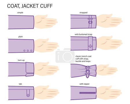 Illustration for Set of cuff of coat, jacket in sleeves clothes types - simple, plain, turn-up, tab, strapped, zipper, trench technical fashion illustration. Flat apparel close-up template. Women men unisex CAD mockup - Royalty Free Image