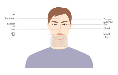Diagramm des Männerkopfes mit Namen, Teile des Gesichtstextes mit der Bezeichnung Mode Illustration Infografik mit Beschreibung. Flache männliche Charakter Front-Side-Boy-Schema. Human Gentleman Infografik-Vorlage 