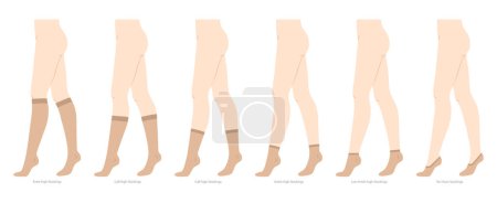 Set of stocking hosiery Invisible, low cut, ankle, crew, mid calf, knee high, over knee length hose. Fashion accessory clothing technical illustration. Vector side view for Men, women, flat sketch