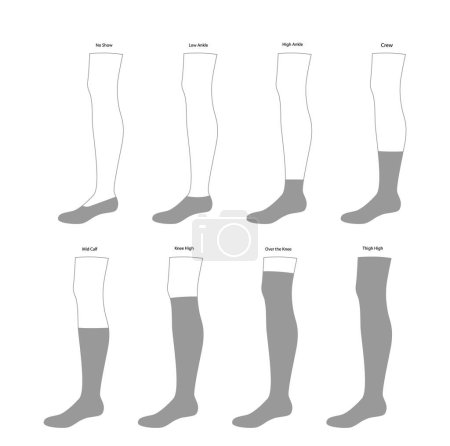 Illustration for Set of Socks hosiery - No Show, low, high ankle, crew, mid calf, knee high, thigh length. Fashion accessory clothing technical illustration stocking. Vector side view for Men, women style, flat CAD - Royalty Free Image