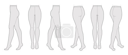 Set of Tights Pantyhose on legs, normal waist length. Fashion accessory clothing technical illustration stocking. Vector front, side, back, 3-4 view for Men women flat template. Vector illustration