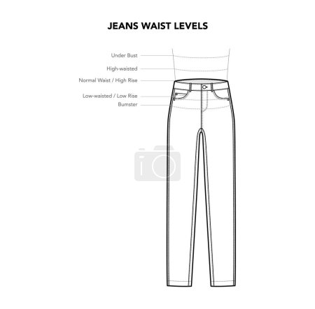 Set of Jeans Pants Waistline details - Under Bust, Hugh, Normal Low Waist styles technical fashion illustration. Flat apparel template front view. Women, men unisex CAD mockup isolated on white