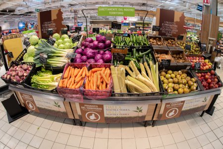 Photo for Cuneo, Italy - November 22, 2022: stall with various colorful types of autumnal vegetables and fruits from the Italian territory piemont in Conad supermarket, in foreground the hunchback thistle - Royalty Free Image