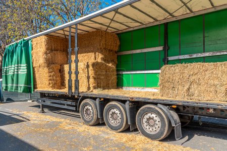 Photo for Large bales of straw and hay loaded on truck trailer - Royalty Free Image