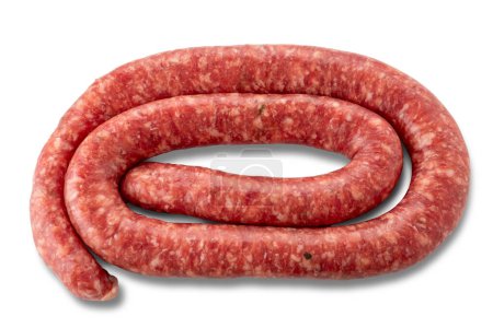 Raw fennel seed sausage rolled and isolated on white with clipping path included