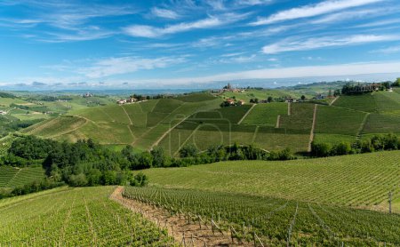 Paisaje de las colinas con viñedos alrededor de Serralunga di Alba en la UNESCO Patrimonio de la Humanidad Langhe, Italia, una zona típica de vino de Barolo