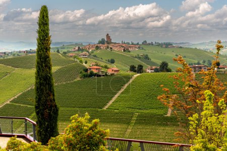 Paisaje de Serralunga di Alba, Italia, entre los viñedos de las colinas de Langhe, Patrimonio de la Humanidad por la UNESCO, zona vinícola típica de Barolo