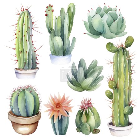 Kaktus Aquarell Illustration.Sukkulente und Kakteen Drucke Elemente
