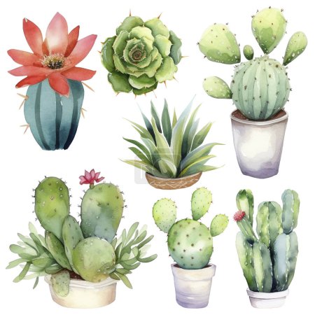 Foto de Cactus Acuarela Ilustración. Elementos de impresión de cactus y cactus - Imagen libre de derechos