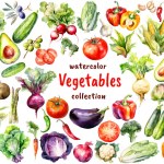 Watercolor Vegetables and Lettuce collection. Hand drawn fresh food design elements isolated on white background.