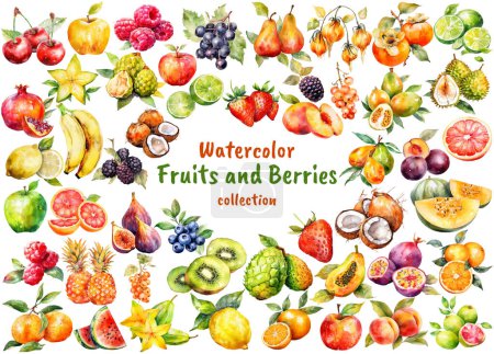 Foto de Acuarela Colección de frutas y bayas. Elementos de diseño de alimentos frescos dibujados a mano aislados sobre un fondo blanco - Imagen libre de derechos