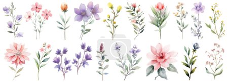 Foto de Acuarela Wildflower Collection .Elementos de diseño de flores dibujadas a mano aisladas sobre fondo blanco. Disposiciones vectoriales para la tarjeta de felicitación o el diseño de invitación - Imagen libre de derechos