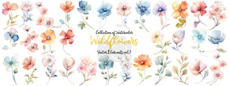 Foto de Acuarela Wildflower Collection .Elementos de diseño de flores dibujadas a mano aisladas sobre fondo blanco. Disposiciones vectoriales para la tarjeta de felicitación o el diseño de invitación - Imagen libre de derechos