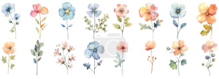 Watercolor Wildflower Collection .Hand drawn flower design elements isolated on white background. Vector arrangements for greeting card or invitation design