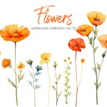 Watercolor painting of flowers and leaf. Hand drawn floral vector elements isolated on white background.