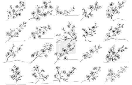 Illustration for Continuous line cherry flowers..Vector hand drawn ink Sketch. Doodle style - Royalty Free Image