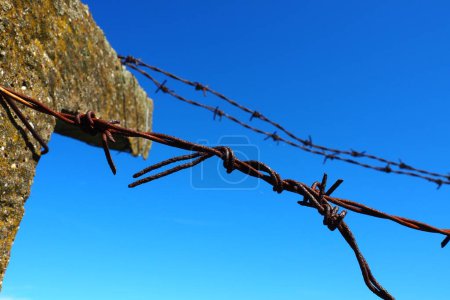 Photo for Barbed wire, double wire, metal tape with sharp spikes for barriers. Rusty barbed wire against the blue sky. The concept of war, restriction of rights and freedoms. Concrete pillar - Royalty Free Image